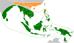 Original native ranges of the ancestors of modern edible bananas.[32]