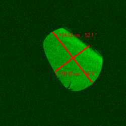 Cross-section of a fiber drawn from a D-shaped preform. The preform for this test fiber was not polished well, and cracks are seen with the confocal optical microscope.
