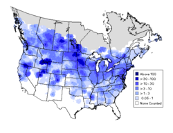 Summer distribution and abundance of Canada goose using data from the North American Breeding Bird Surveys 1994–2003