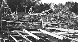 Ruins of the City Park Conservatory in New Orleans after the hurricane