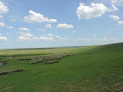 Mollisols are generally associated with the steppe biome