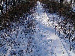 Rahway Valley Railroad trackage along North Michigan Avenue in Kenilworth, New Jersey