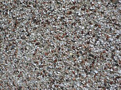 Close-up of pebbledash