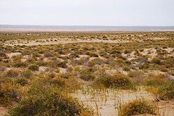 Alxa Left Banner, Inner Mongolia, China