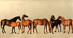 Mares and Foals without a background, other Rockingham horses painted by Stubbs on his visit in 1762. Whistlejacket was in the pair piece showing stallions.