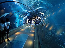 Oceanarium at the Oregon Coast Aquarium