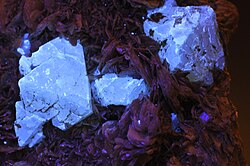 Scheelite under ultraviolet light