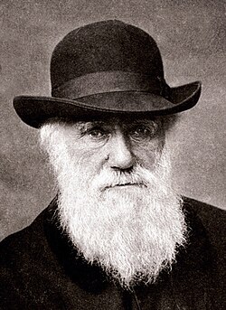 Charles Darwin (1809–1882) explored the expression of emotions in animals.