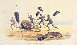 Tswana hunting the lion, 1841