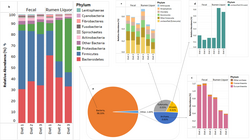 Bacteria dominate the rumen microbiome; composition can change substantially with diet.[10]