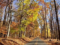 Woosamonsa Road in Hopewell during autumn