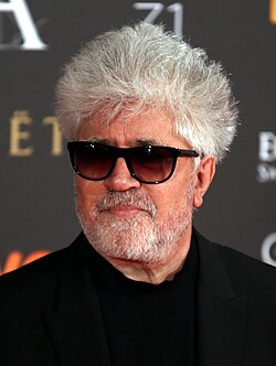 Pedro Almodóvar won for Talk to Her (2002)
