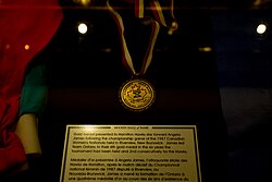 A gold medal awarded to Angela James, a Hockey Hall of Fame inductee, on display at the hall of fame