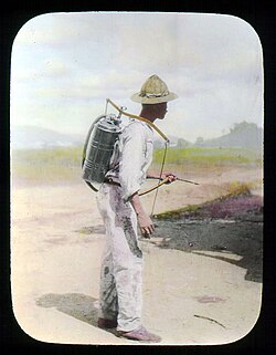 Man spraying kerosene oil in standing water, Panama Canal Zone, 1912