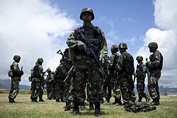 Indonesian marines during RIMPAC 2014