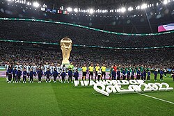Seven of the eight venues, including Lusail Stadium, the venue for the final, were new stadiums built specifically for the 2022 FIFA World Cup. The eighth was heavily renovated.