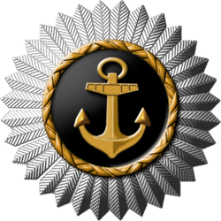 Cockade on the caps of certified persons serving in the pilot service of Russia, 1913.