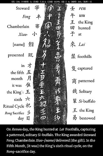 Annotated word-for-word grammatical analysis of the "Zaifeng" bone inscription (宰丰骨). It records the King's hunt, the capture of a prize Si-buffalo, and the subsequent reward.