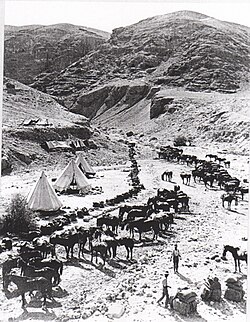 Horse lines of "A" Squadron 9th Light Horse Regiment (3rd Light Horse Brigade)