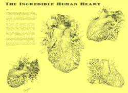 Animated heart