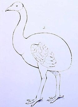Simple drawing