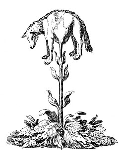 Tartar lamb illustration