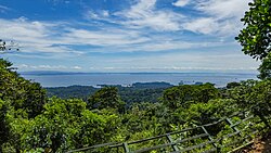 Brokopondo Reservoir surrounded by tropical rainforest