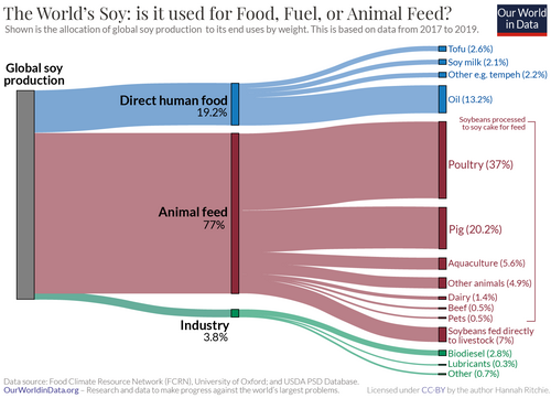 Breakdown of what the world's soy was used for in 2018