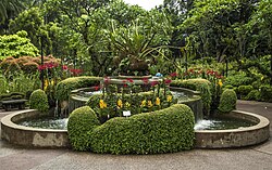 Singapore Botanic Gardens is a UNESCO World Heritage Site – one of three gardens in the world, and the only tropical garden, to be recognised as such.