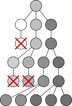 Mutation and selection