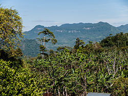 Peñas Blancas, part of the Bosawás Biosphere Reserve and located northeast of Jinotega in northeastern Nicaragua, is the second-largest rainforest in the Western Hemisphere after the Amazonian Rainforest in Brazil.