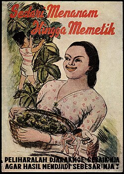 "From planting to picking. Treat your jatropha plant as well as possible to make the yield as large as possible!" (A reference to the compulsory planting of jatropha in Indonesia for the production of oil as machinery lubricant and fuel for the Japanese WWII war effort.)