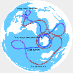 The Drake Passage (middle of image) in relation to the global thermohaline circulation (animation)