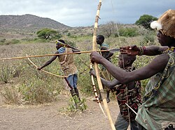 The Hadza live as hunter-gatherers.