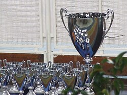 Trophy given to the winners.