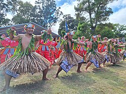Pasifika Festival celebrating Pasifika New Zealanders and their pan-cultural identity