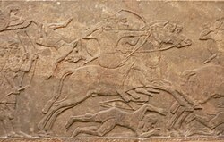 Assyrian cavalry