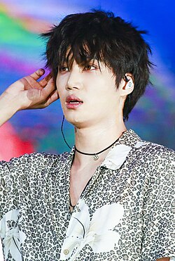 Kai at the Lotte Family Concert in Seoul, June 2018
