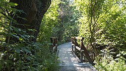 An entrance to the Lobau by Essling