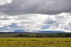 A tepui seen from a distance, with rain in between