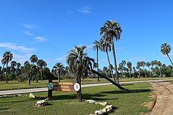 The El Palmar National Park.