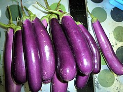 Long purple eggplants