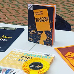 Following the 2016 referendum which produced a majority in favour of Brexit, the Lib Dems campaigned against the decision with its somewhat controversial "Bollocks to Brexit" campaign