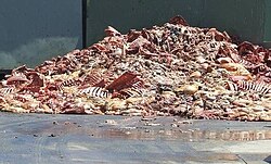 Slaughterhouse waste