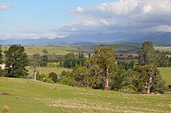 Hop farms in the Derwent Valley
