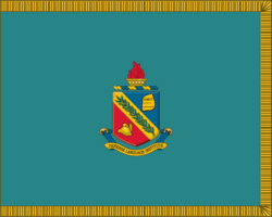 US Army Defense Language Institute Flag