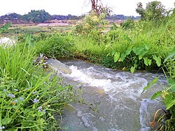 Irrigation is underway by pump-enabled extraction directly from the Gumti, seen in the background, in Comilla, Bangladesh.