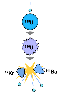 A diagram showing a chain transformation of uranium-235 to uranium-236 to barium-141 and krypton-92