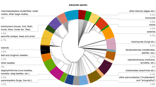 About half of all eukaryotes are insects (left side of diagram).
