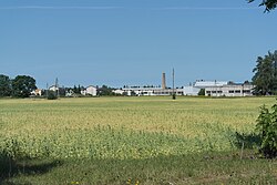 Crops near Aruküla in Northern Estonia